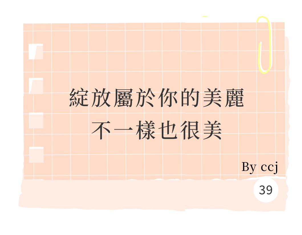 便利貼39@3x